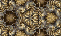 shell2.gif